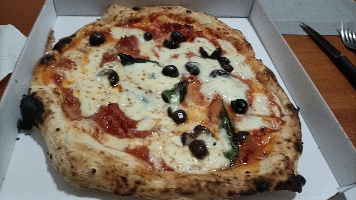 Sandro Emozioni A Spicchi-2