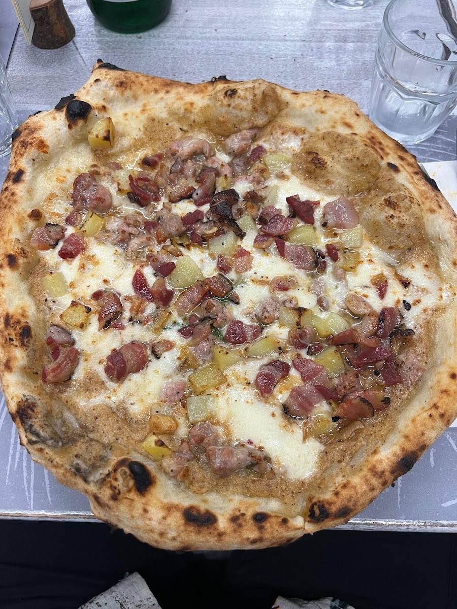 Sandro Emozioni A Spicchi-3